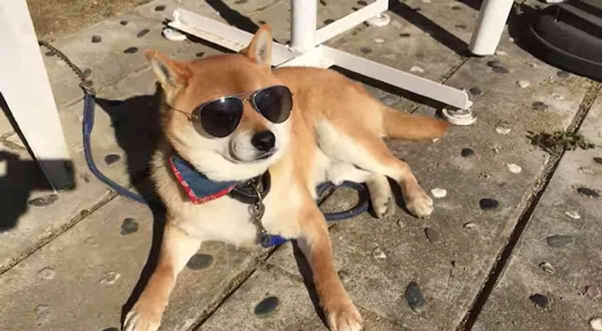 習うより慣れろと思った事