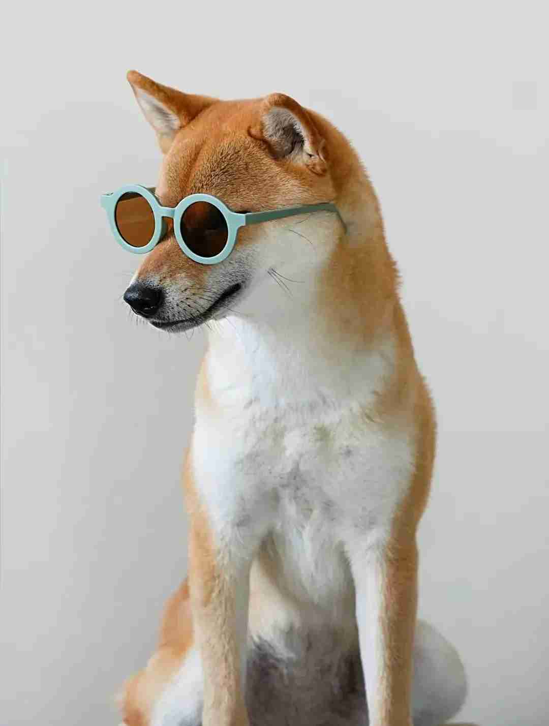 習うより慣れろと思った事