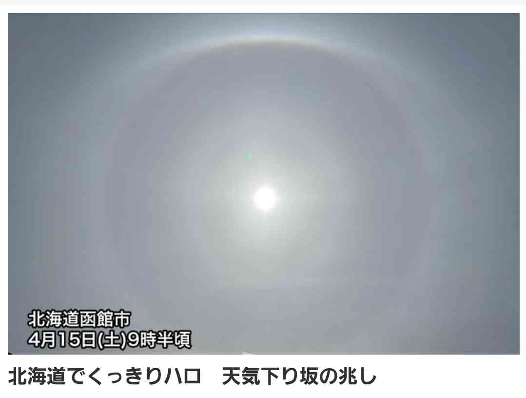 日テレ・岩本乃蒼アナ、5月から休職　大学院で災害報道の研究へ　「news zero」3月末で卒業