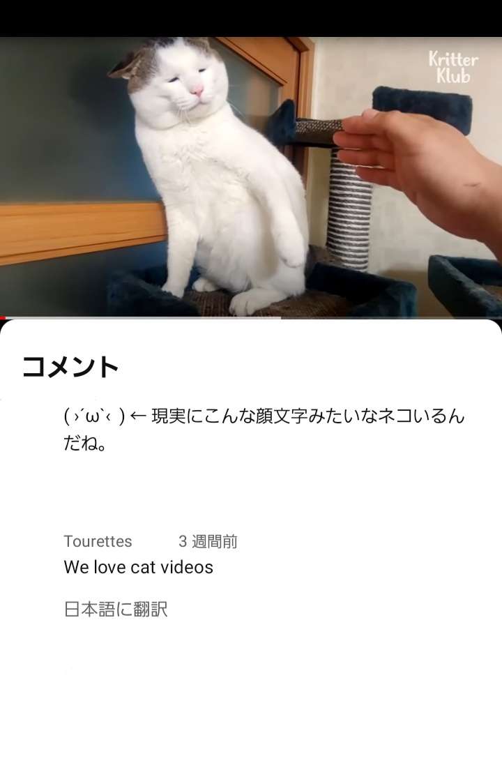 愛くるしい画像で癒やされたい