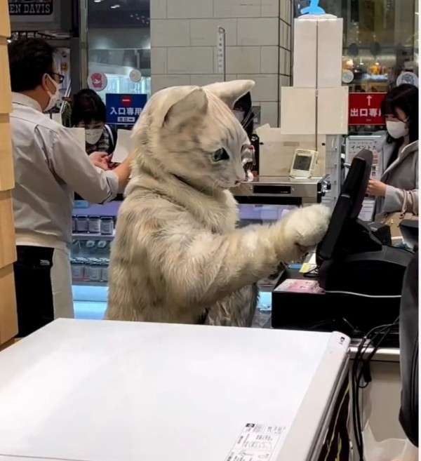 愛くるしい画像で癒やされたい