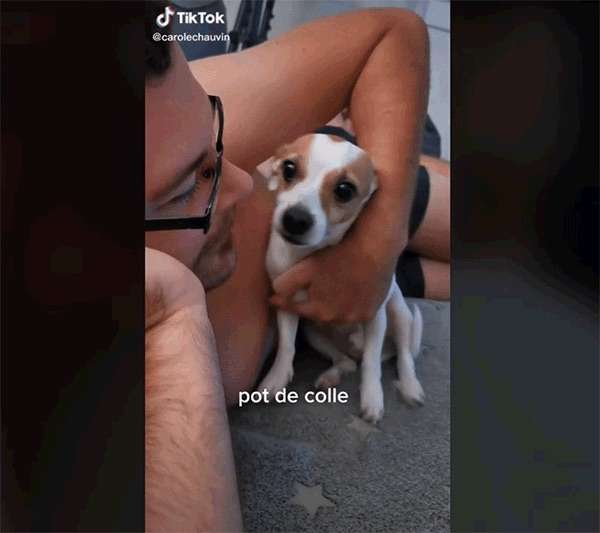 愛くるしい画像で癒やされたい