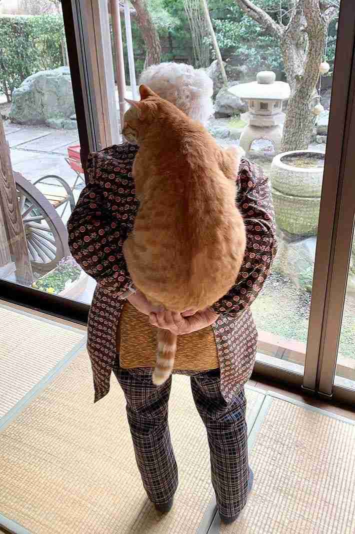 愛くるしい画像で癒やされたい