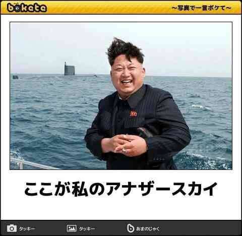 愛くるしい画像で癒やされたい