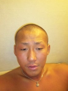 愛くるしい画像で癒やされたい