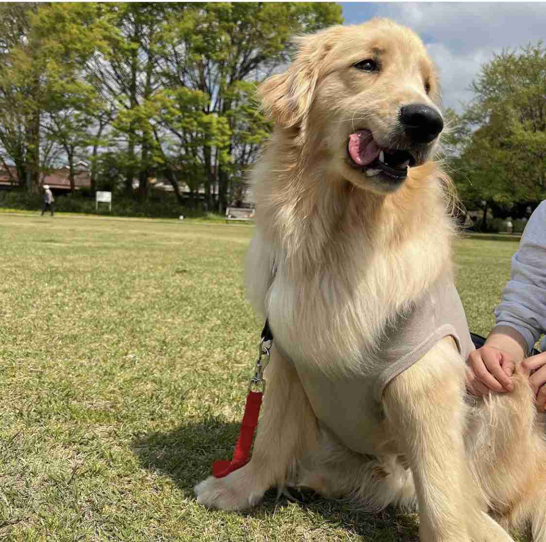 愛くるしい画像で癒やされたい