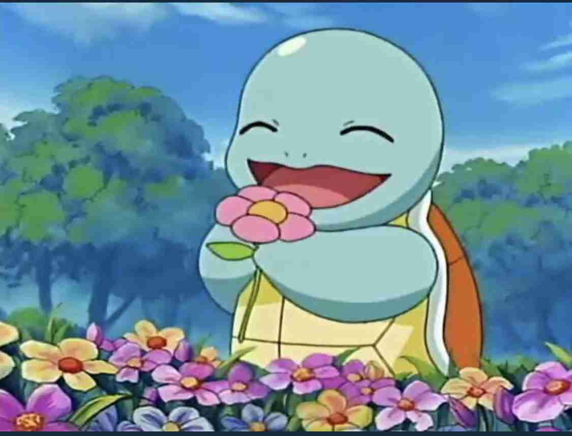 愛くるしい画像で癒やされたい