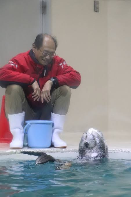 愛くるしい画像で癒やされたい