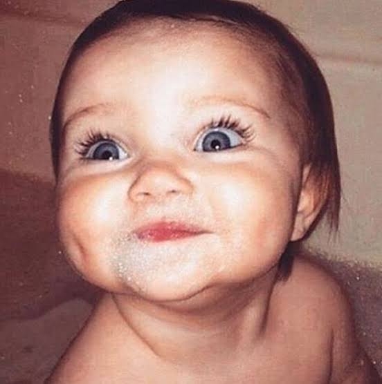 愛くるしい画像で癒やされたい