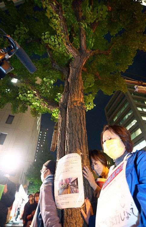 イチョウ並木伐採めぐりトラブル 反対住民に押し倒され警備員重傷