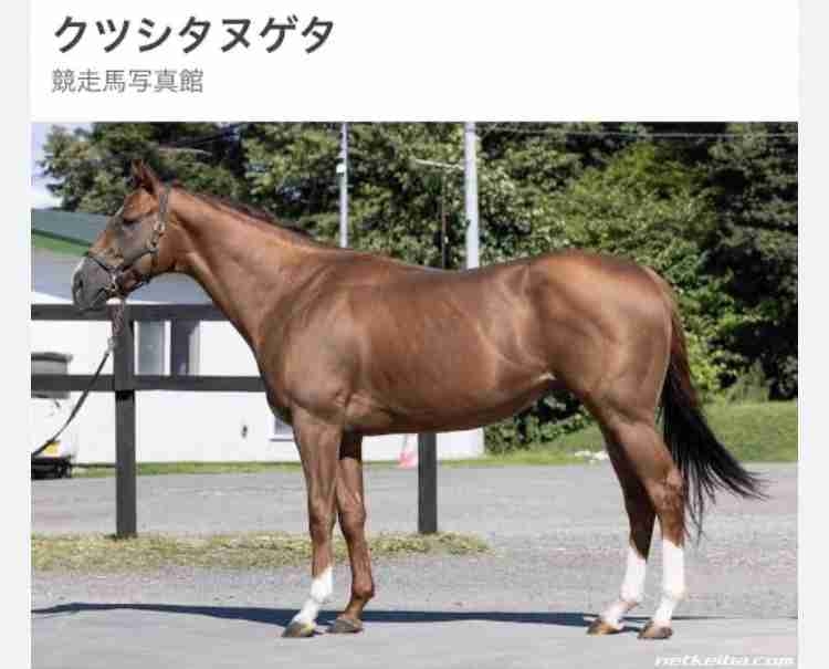 くだらない話題を振ると誰かがそっと返信してくれるトピpart３