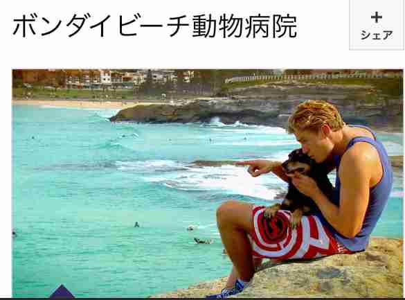 【動物/自然】おすすめのドキュメンタリー【海外/絶景】
