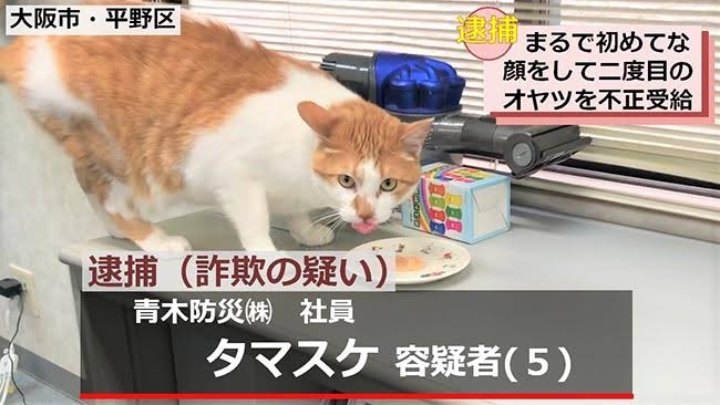 人気企業ツイッター「人権を傷つける不適切な投稿」で謝罪 「著しく配慮と自覚を欠く行為」担当者を処分へ