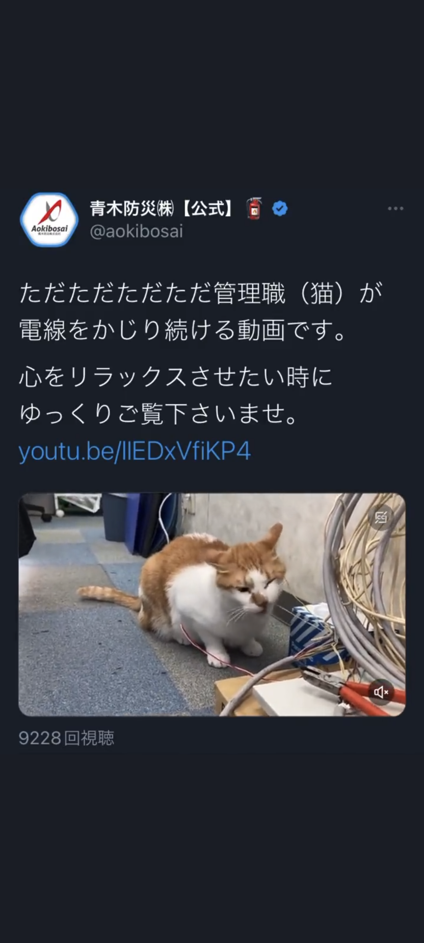 人気企業ツイッター「人権を傷つける不適切な投稿」で謝罪 「著しく配慮と自覚を欠く行為」担当者を処分へ