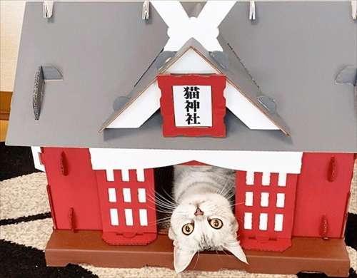 神社とお寺（ここなんだかすごい！って異様な雰囲気感じるところ）