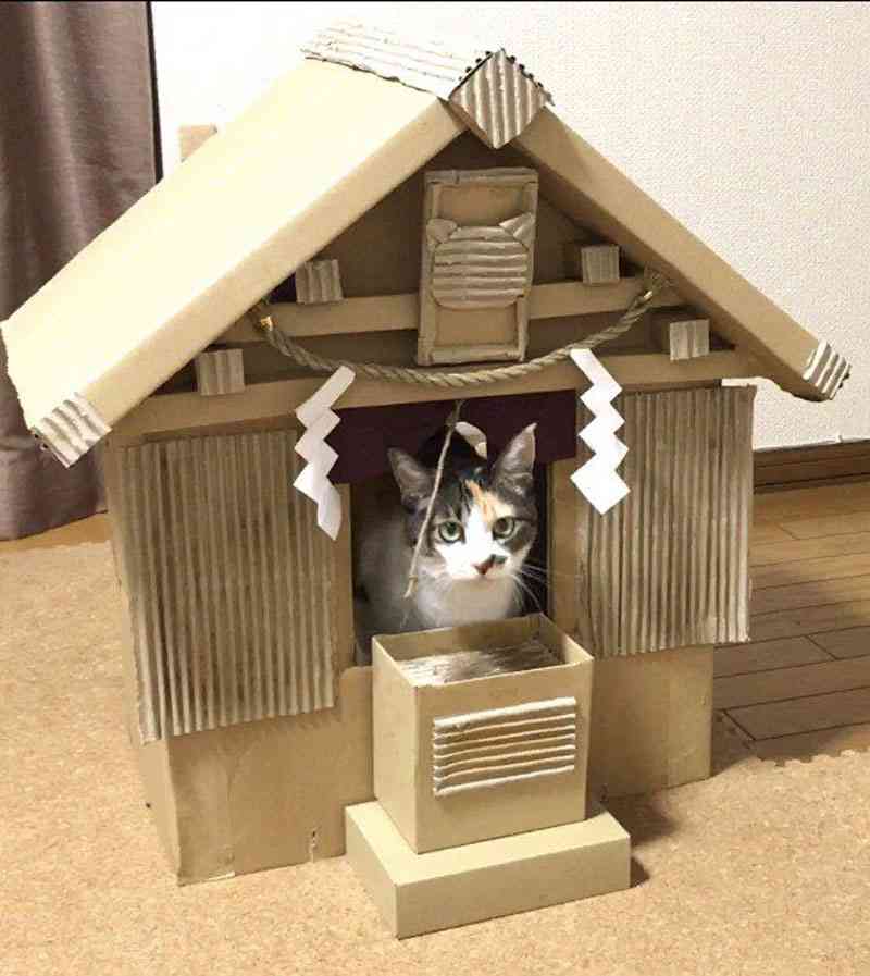 神社とお寺（ここなんだかすごい！って異様な雰囲気感じるところ）