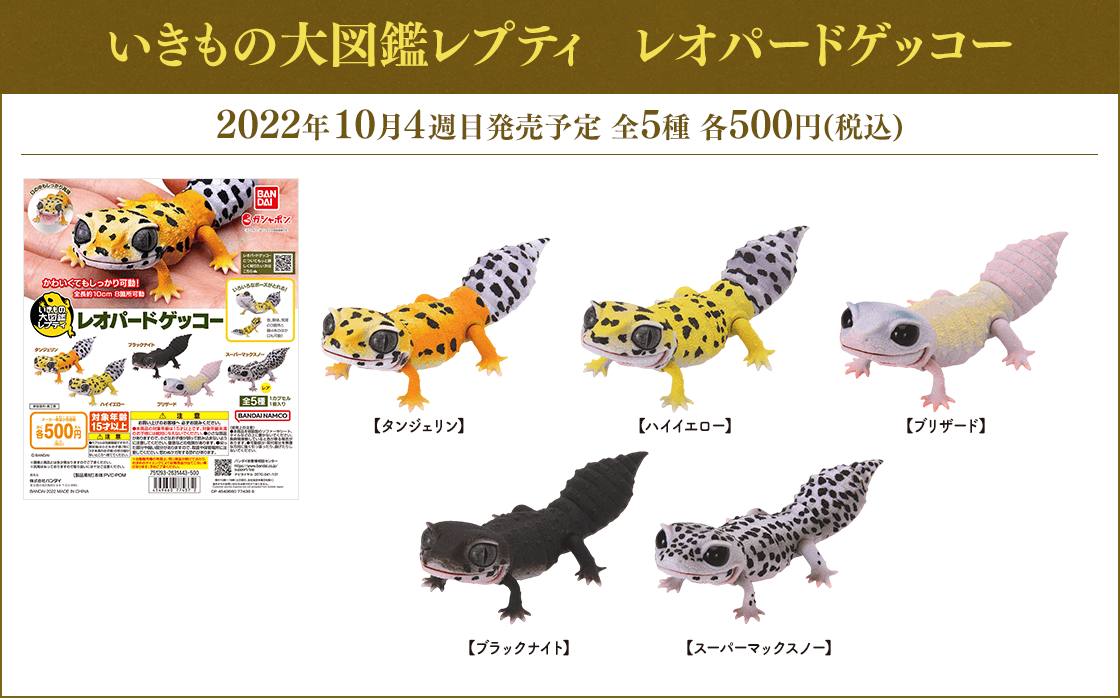 可愛いガチャガチャが見たい