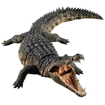 可愛いガチャガチャが見たい