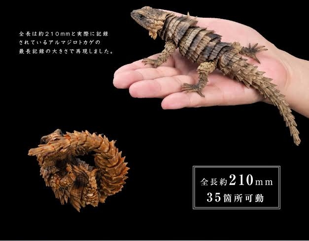 可愛いガチャガチャが見たい