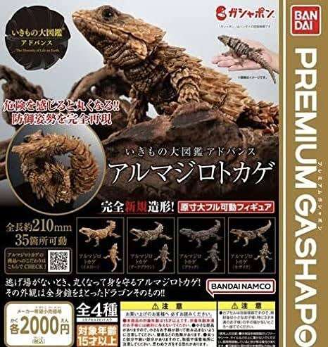 可愛いガチャガチャが見たい