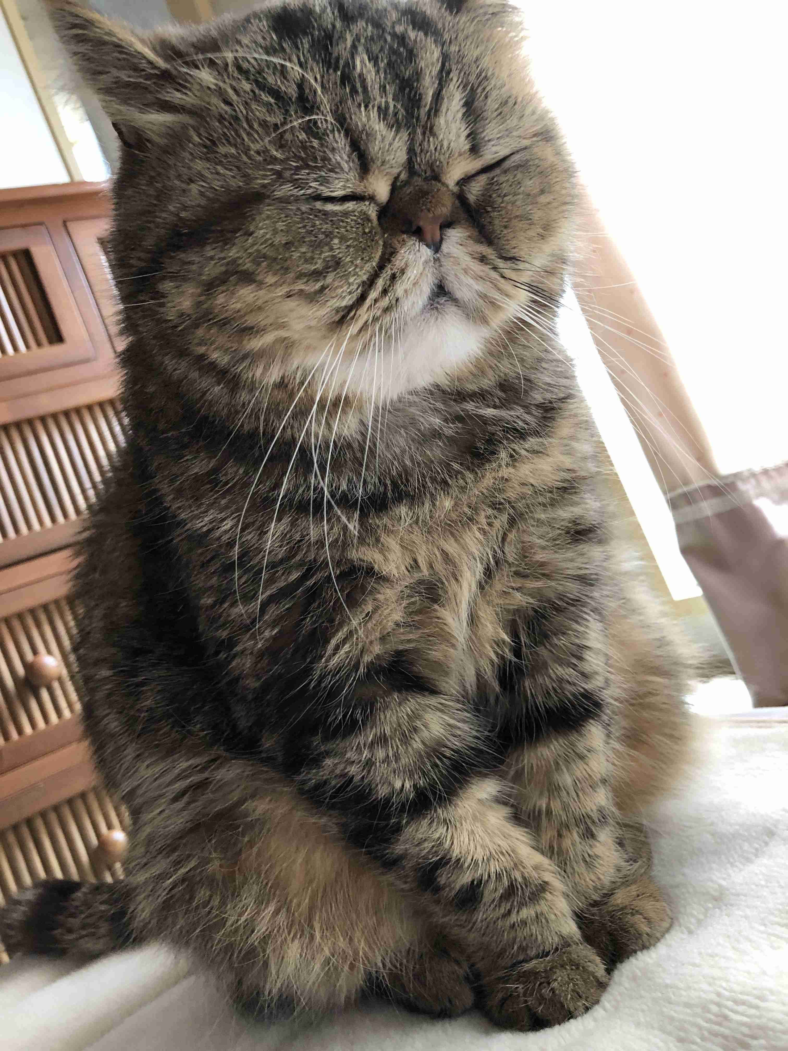 視線恐怖症の人