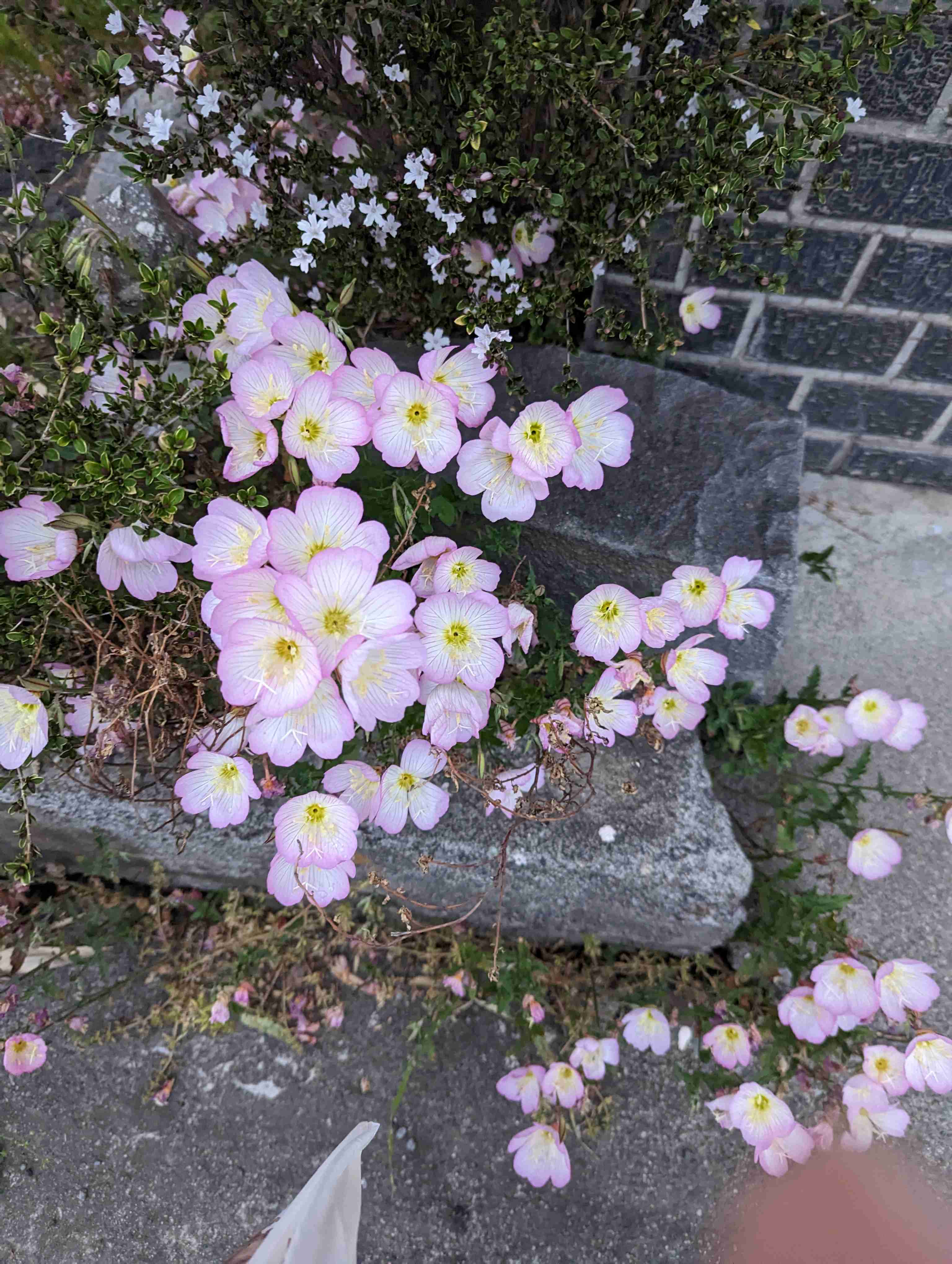 「こういう感情･感覚は大事にしたい」って思う事