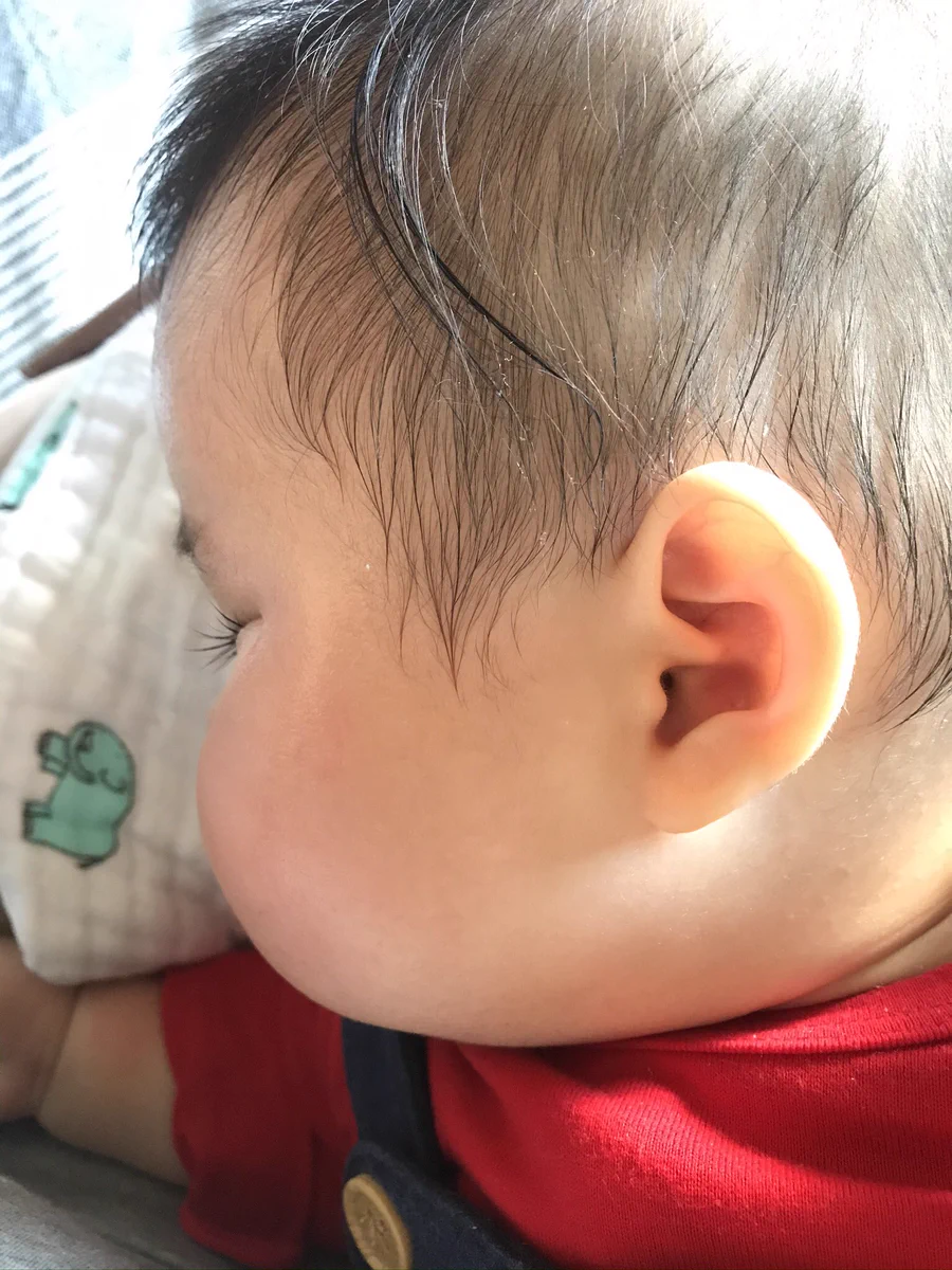 赤ちゃんや子供が好きな人