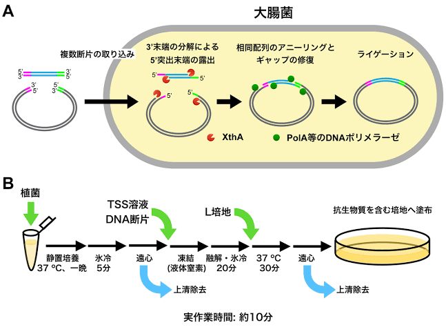 「問題児カフェ」提供の 