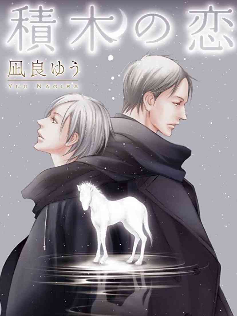 BL小説のおすすめ