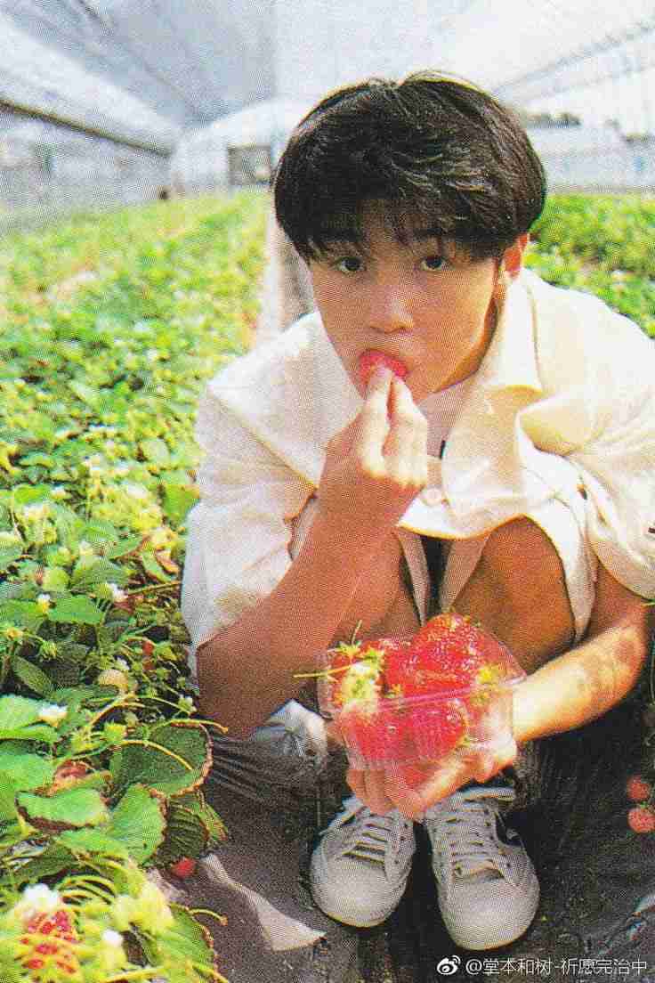 【4月10日誕生日】堂本剛さんが好きな人【アンチ厳禁】