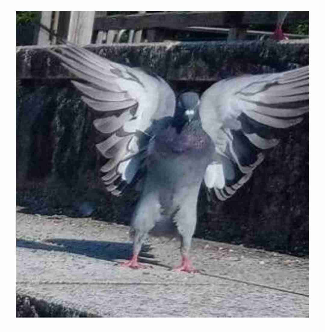 あなたの依存先は何ですか？