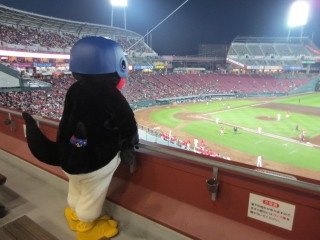 🐧ヤクルトスワローズファン集まれ⛱