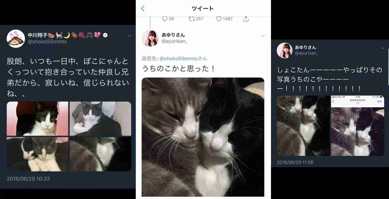 中川翔子、同年代の男性と結婚「動物が大好きで夢に向かって働く姿を尊敬」