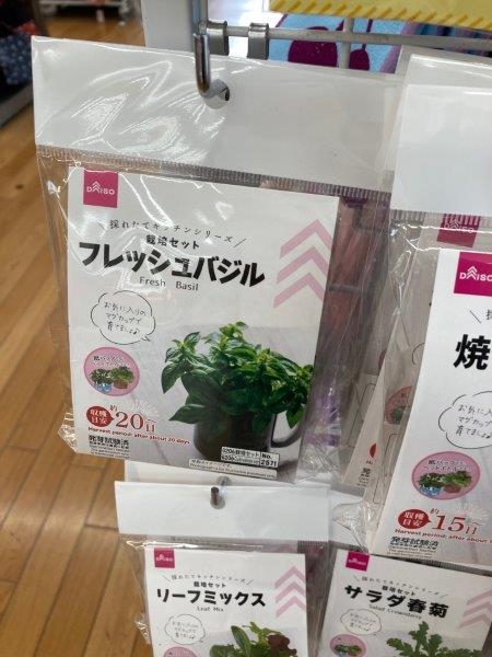 ダイソー植物情報交換トピ