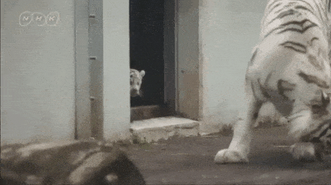 ポンコツの自覚ある人集まれー(^^)/