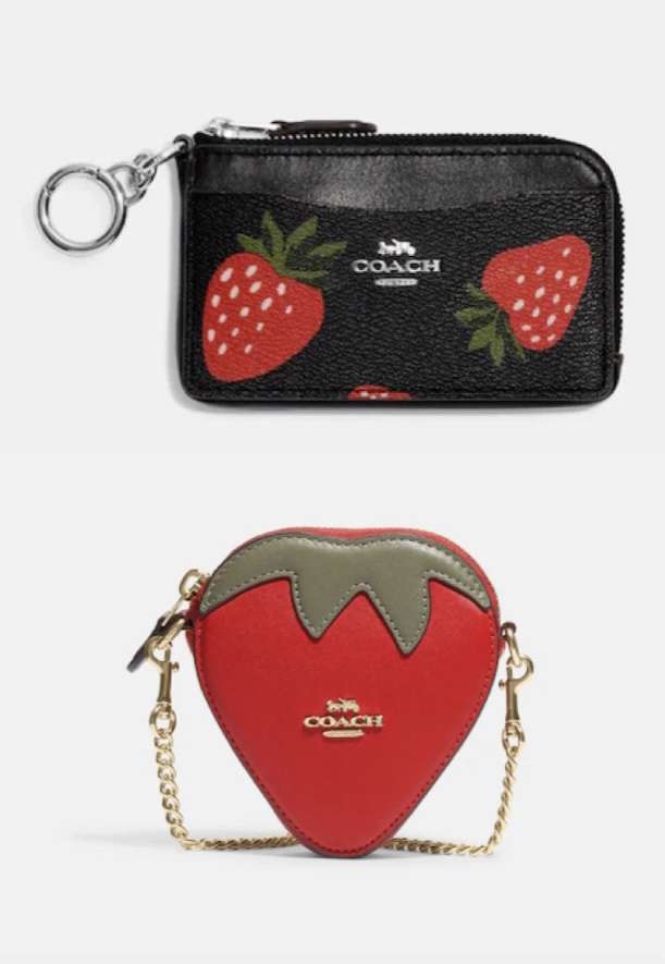 【バッグ】最近COACHが気になる【財布】