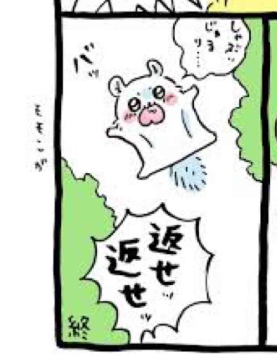 【定期】ちいかわ🏝総合トピpart11