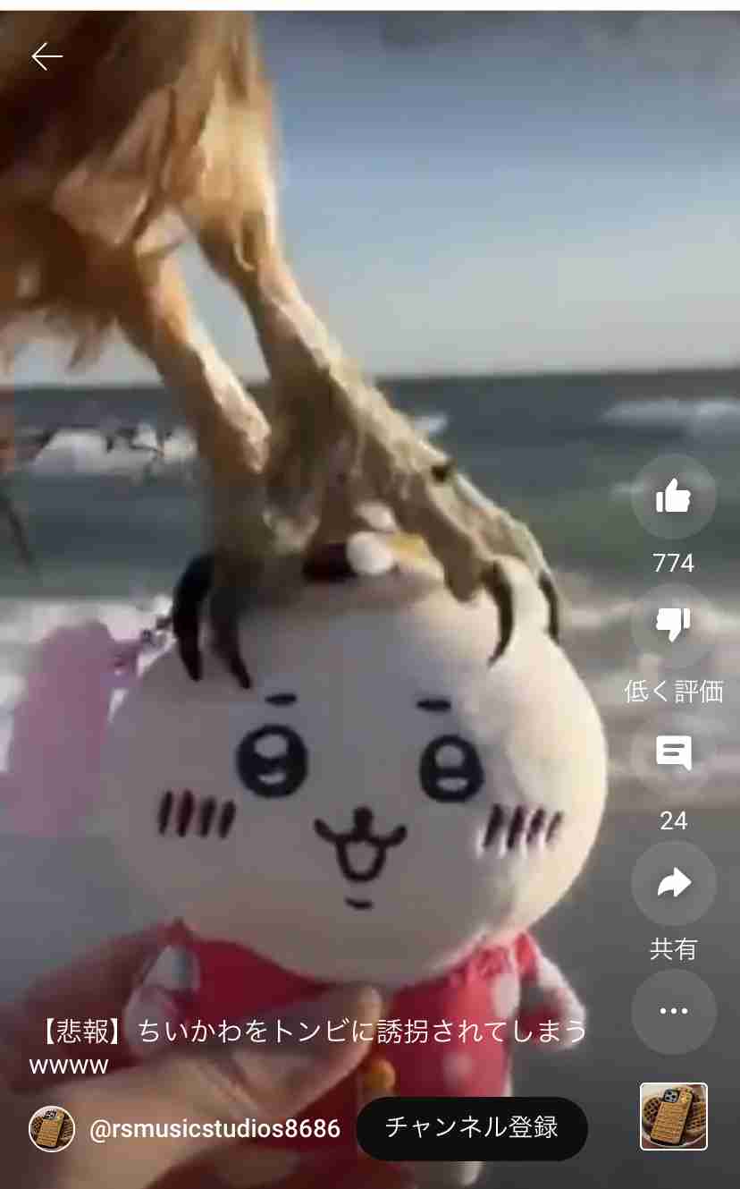 光浦靖子 「怖い!逃げた」カナダでのお花見で文化の違い痛感「だから誰も桜の下でお寿司を食べないんだ」