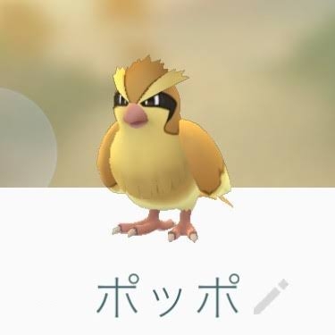 ポッポが好き