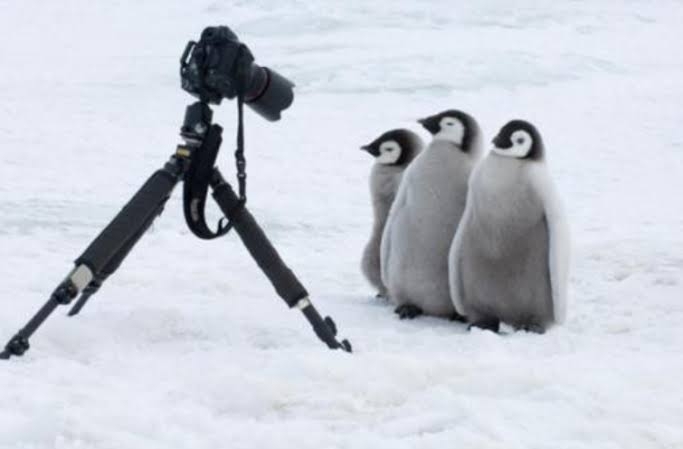 《スクープ》オードリー春日俊彰が「ペンギンに謝罪」！反省やお詫びを綴った長文の手紙を「那須どうぶつ王国」に持参していた