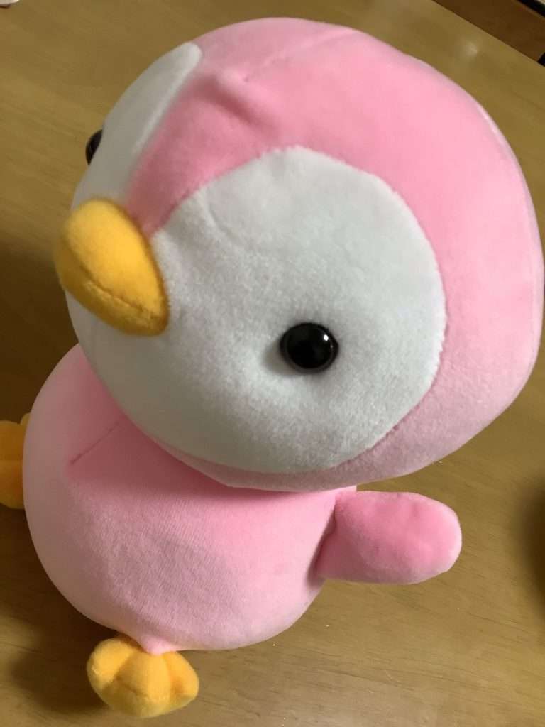 《スクープ》オードリー春日俊彰が「ペンギンに謝罪」！反省やお詫びを綴った長文の手紙を「那須どうぶつ王国」に持参していた