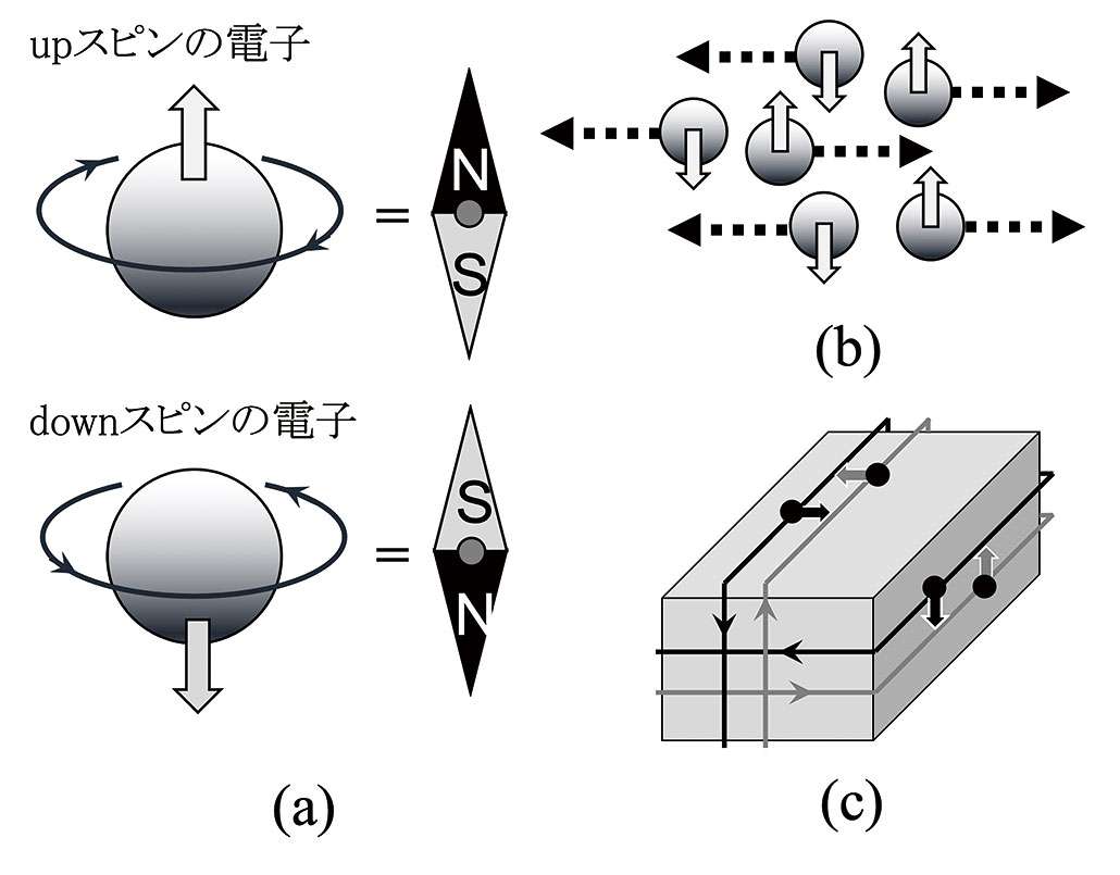 役立つ雑学を教えて