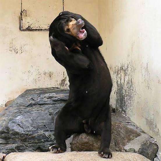 悩みが尽きなくて生きづらい