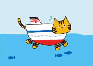 フェリーに乗ったことがある人