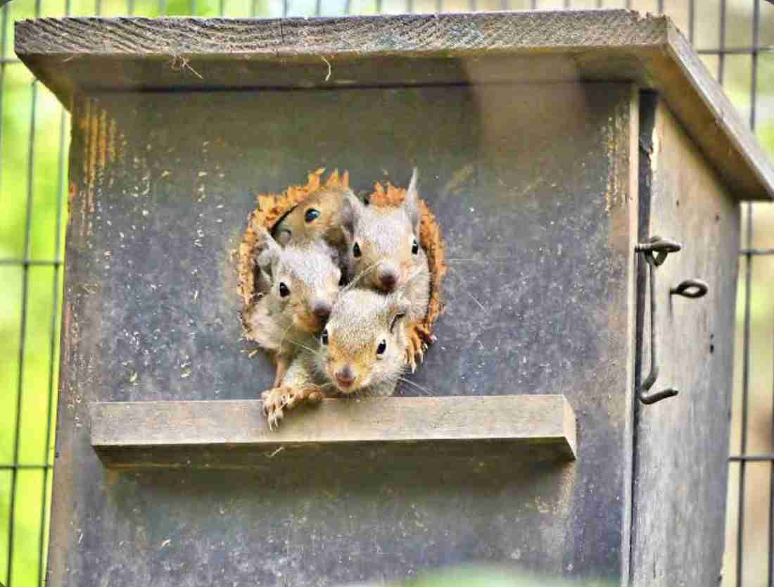 【都内以外】物価や土地、教育費等が高い地域に住んでいる人の話が聞きたい