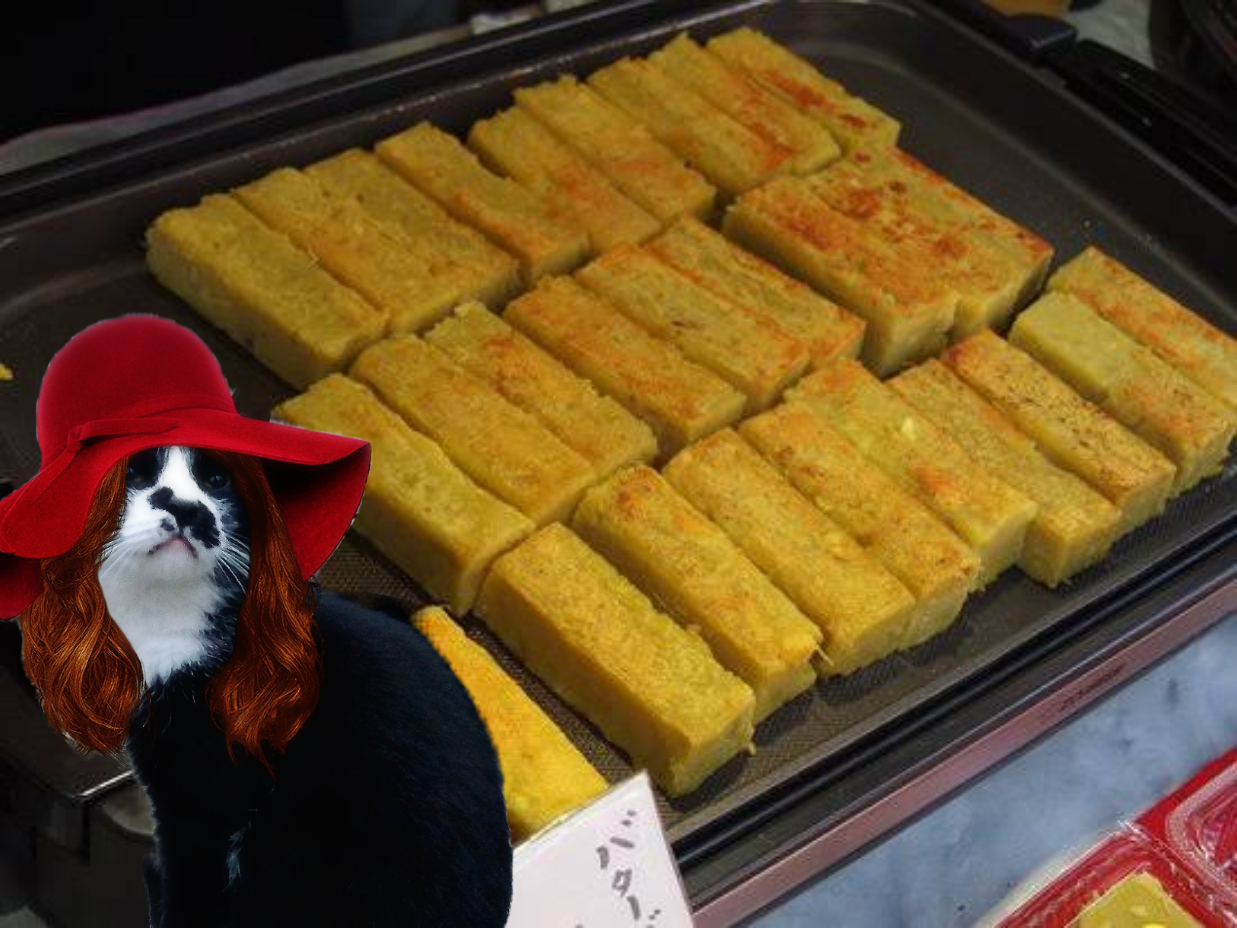 がるちゃん猫カフェ86号店開店しました♫(初めての方も大歓迎♫)