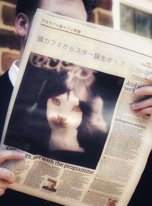 がるちゃん猫カフェ86号店開店しました♫(初めての方も大歓迎♫)