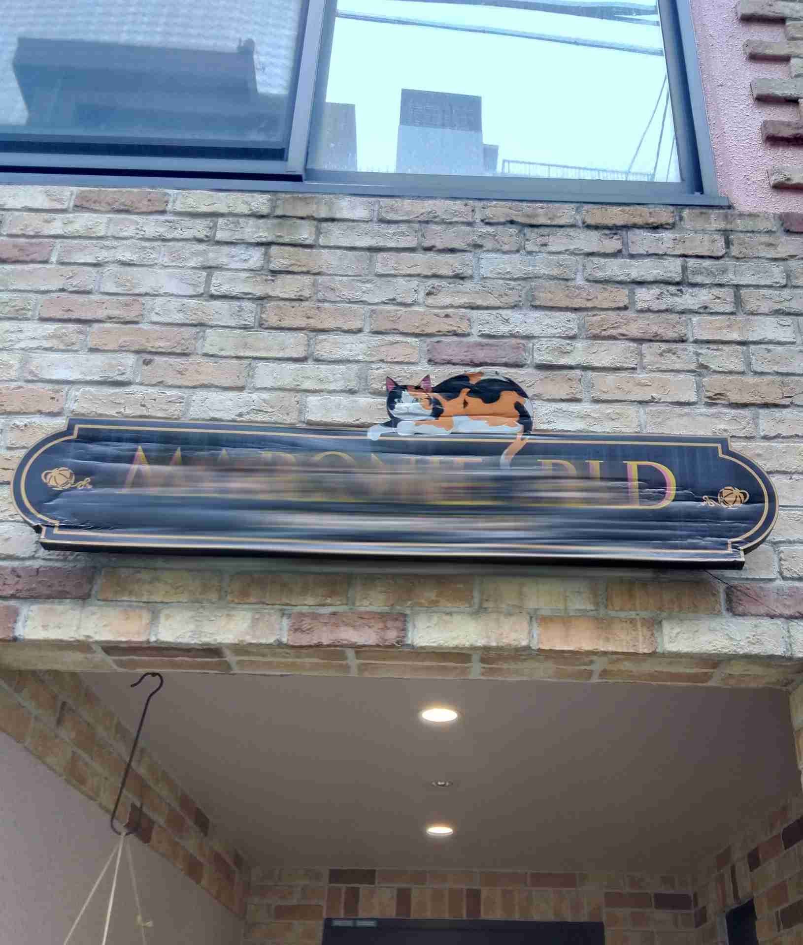 がるちゃん猫カフェ86号店開店しました♫(初めての方も大歓迎♫)