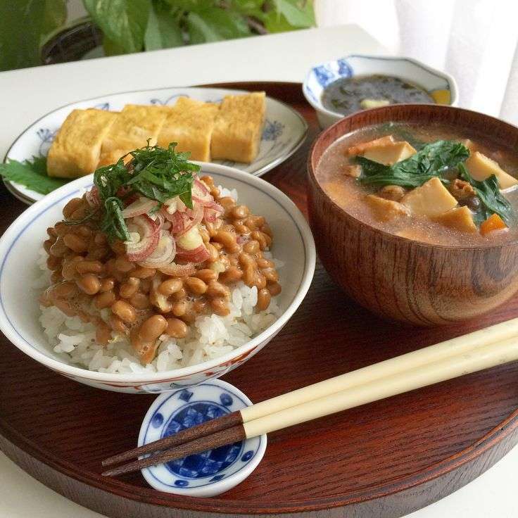 がるちゃん猫カフェ86号店開店しました♫(初めての方も大歓迎♫)