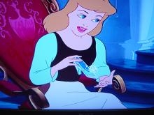 ディズニープリンセス誰が好きですか？